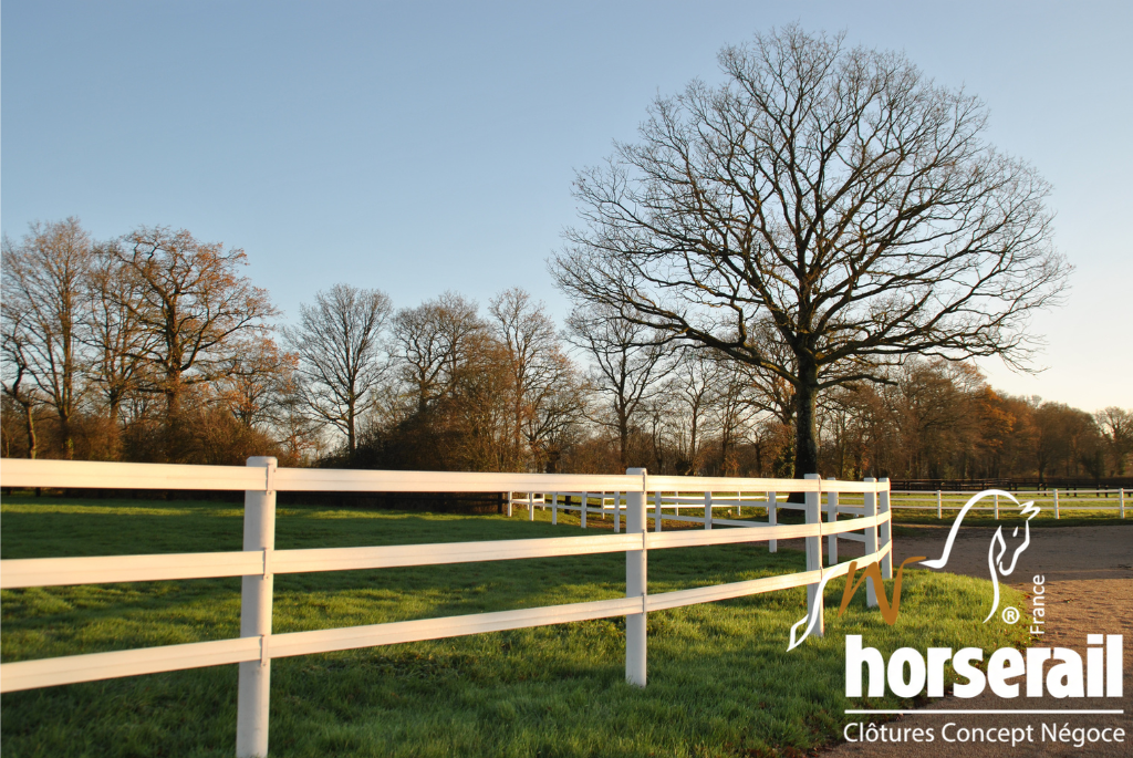 BANDE HORSERAIL BLANC ENTREE DE PROPRIETE